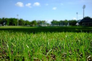 dichtbij omhoog gras van voetbal veld- achtergrond. foto