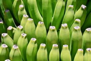 groeit groen bananen foto
