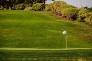 visie van de golf Cursus foto