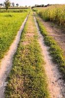 visie van de veld- foto