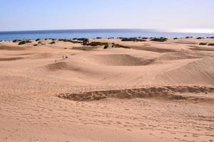 duinen Aan de strand foto