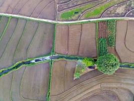 antenne visie van groen rijst- terrassen in Indonesië foto