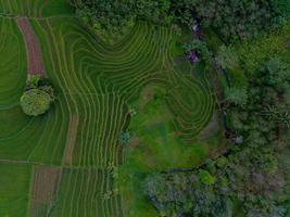 antenne visie van groen rijst- terrassen in Indonesië foto