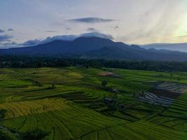 antenne visie van groen rijst- terrassen in Indonesië foto