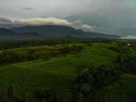 antenne visie van groen rijst- terrassen in Indonesië foto