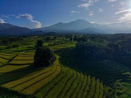 antenne visie van groen rijst- terrassen in Indonesië foto