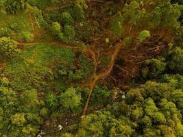 antenne visie van groen rijst- terrassen in Indonesië foto