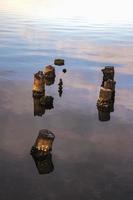 oud hout steiger pijlers uitstekend van de water. dood boom stronken in de water foto