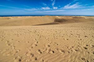 toneel- woestijn landschap foto