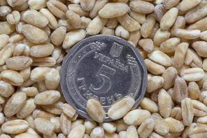 vijf oekraïens hrivnja munt aan het liegen Aan hoop van tarwe granen foto