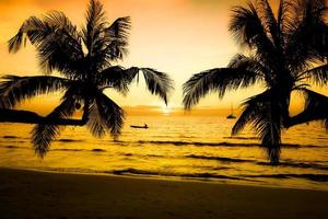 mooi zonsondergang Aan de tropisch zee strand.silhouet van palm bomen Aan roze lucht achtergrond voor reizen en vakantie net zo zomer foto