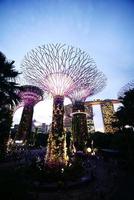 Singapore 10 juni 2022. verlichting Aan tuinen door de baai Bij nacht foto