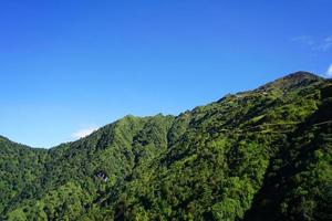 groen berg reeks in zijde route sikkim foto