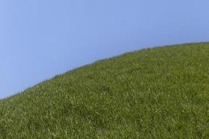 groen heuvel tegen Doorzichtig blauw lucht foto