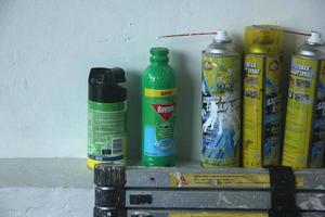 Jakarta, Indonesië - maart 12, 2023 - baygon klein kan De volgende naar nieuw fles ontwerp. muggen, kakkerlak en andere insect of bugs chemisch insecticide geïsoleerd Aan wit muren. foto