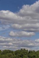 wit pluizig wolken bovenstaand tops van bomen foto