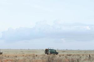 safari in Afrika foto