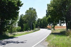 landelijk Laan in zomer foto