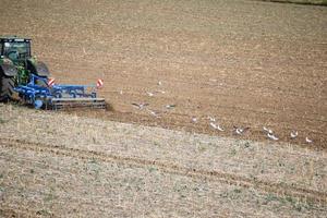 voedsel vrachtauto voor vogelstand foto