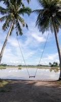 tropisch kokosnoot bomen en schommel Bij penaga, penang foto