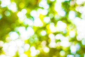 abstract vervagen groen bokeh licht foto