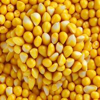 rijp maïs, maïs graan achtergrond - ai gegenereerd beeld foto