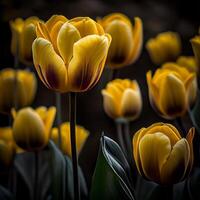 tulp, mooi geel tulp boeket, mooi tulpen, voorjaar bloeien - ai gegenereerd beeld foto