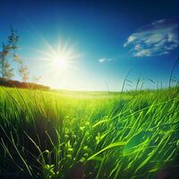 helder zon schijnt Aan groen ochtend- met gras begroeid weide, helder blauw lucht - ai gegenereerd beeld foto