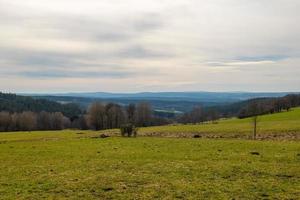 groen weide met landschap in lente foto