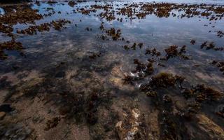 verliezen schot van strand koraal in west Sumatra provincie, Indonesië foto