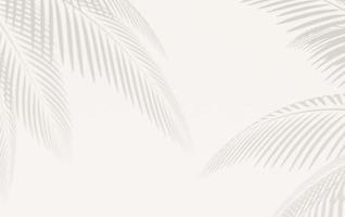 witte achtergrond met gedefinieerde schaduw van palmbladeren foto