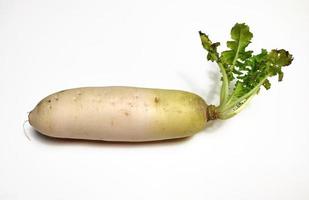 wit radijs of daikon geïsoleerd in wit achtergrond foto