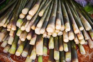 vers bamboe schieten van natuur Woud voor uitverkoop in de lokaal markt foto