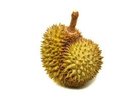 durian geïsoleerd tropisch fruit van vers durian Aan wit achtergrond foto