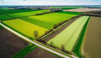 generatief ai, boerderij landschap, agrarisch velden, mooi platteland, land weg. natuur illustratie, fotorealistisch top visie drone, horizontaal spandoek. foto