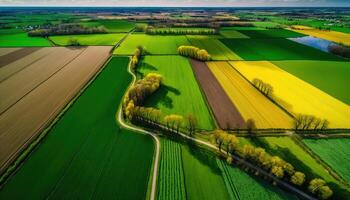 generatief ai, boerderij landschap, agrarisch velden, mooi platteland, land weg. natuur illustratie, fotorealistisch top visie drone, horizontaal spandoek. foto