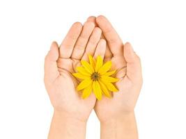 geel bloem in vrouw handpalmen, handen hygiëne en kunstmatig huidsverzorging concept, symbool van zuiver natuur foto