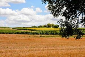 toneel- landelijk landschap foto