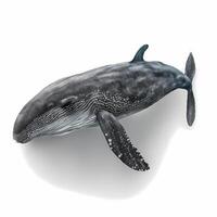 walvis zwart en wit ai gegenereerd foto
