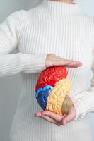 vrouw Holding menselijk hersenen model. wereld hersenen tumor dag, hersenen hartinfarct, Dementie, alzheimer, Parkinson en wereld mentaal Gezondheid concept foto