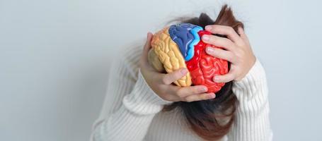 vrouw Holding menselijk hersenen model. wereld hersenen tumor dag, hersenen hartinfarct, Dementie, alzheimer, Parkinson en wereld mentaal Gezondheid concept foto