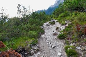 schilderachtige berglandschap foto