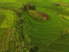 antenne visie van groen rijst- terrassen in Indonesië foto