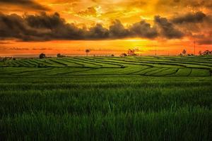 mooi ochtend- visie Indonesië. panorama landschap rijstveld velden met schoonheid kleur en lucht natuurlijk licht foto