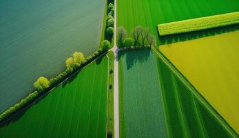 generatief ai, boerderij landschap, agrarisch velden, mooi platteland, land weg. natuur illustratie, fotorealistisch top visie drone, horizontaal spandoek. foto