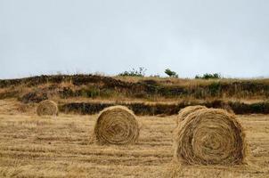 toneel- landelijk landschap foto