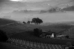 landschappen van de piemontese langhe in zwart en wit. wijngaarden en heuvels van Piemonte in de winter van 2023 foto