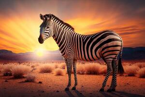 zebra in savanne Afrikaanse dieren in het wild Aan zonsondergang achtergrond, Afrika dag. gemaakt generatief ai foto