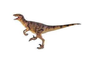 dinosaurus , velociraptor geïsoleerd achtergrond foto