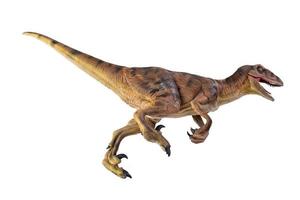 dinosaurus , velociraptor geïsoleerd achtergrond foto